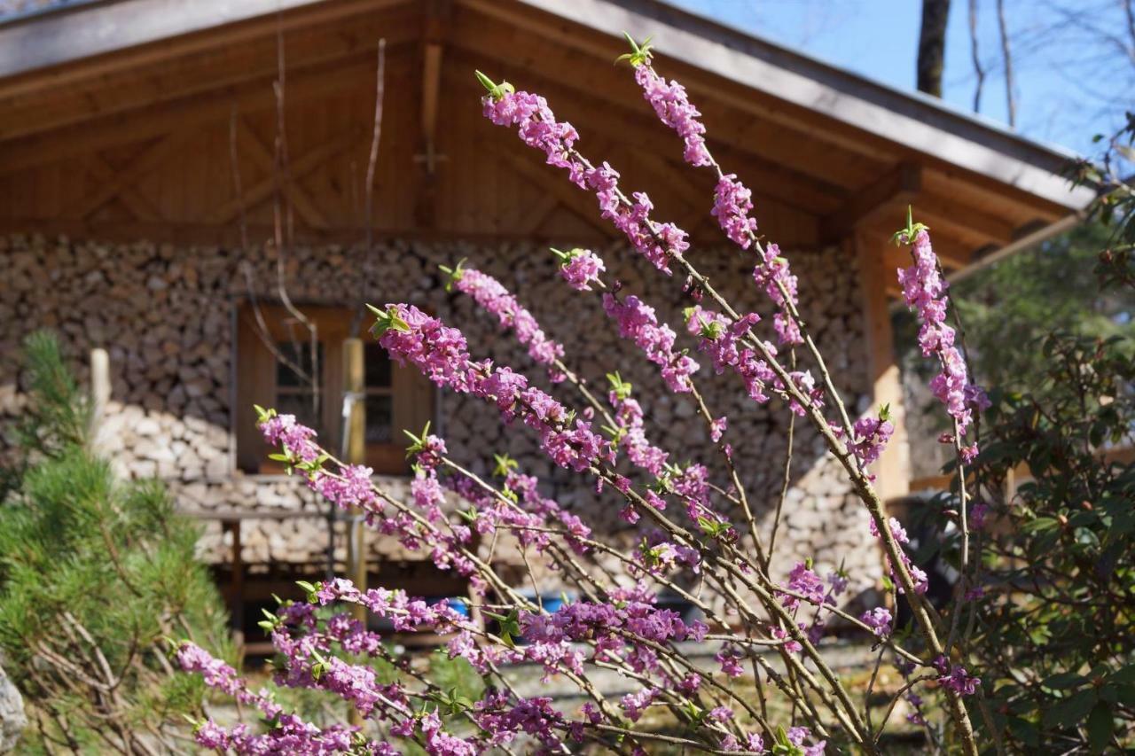 Ferienhaus Waldwinkl Hotel Grainau Kültér fotó